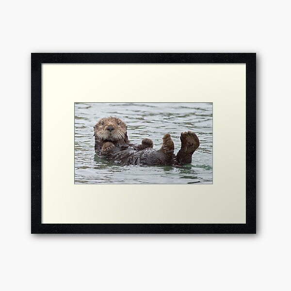 Are you looking at me? Framed Art Print