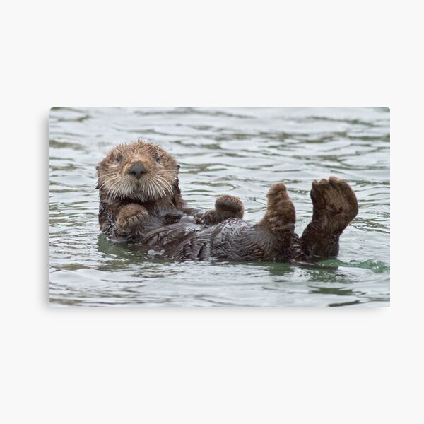Are you looking at me? Canvas Print