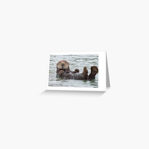 Are you looking at me? Greeting Card