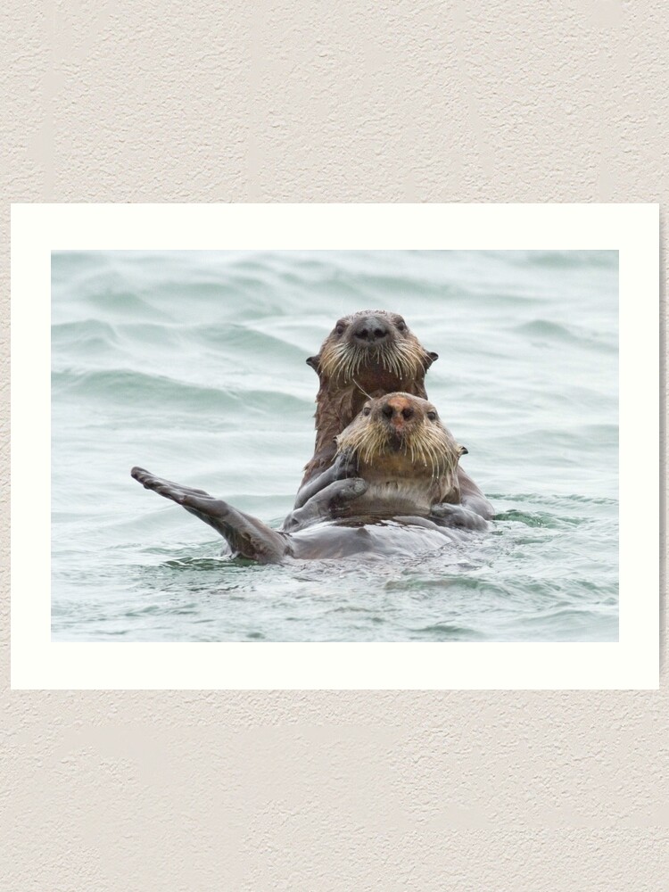 Alternate view of Two otters for the price of one Art Print