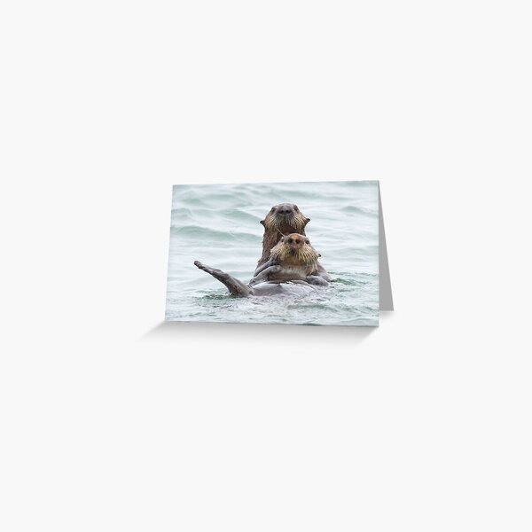 Two otters for the price of one Greeting Card