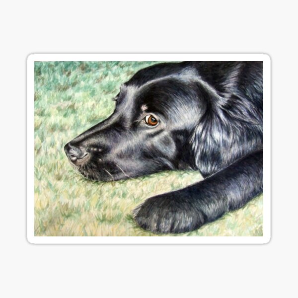 Flat Coated Retriever Sticker