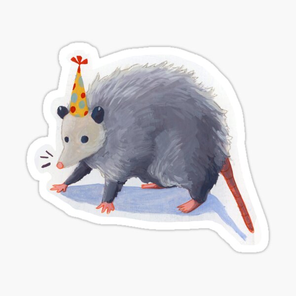 Party Possum Gifts Merchandise Redbubble