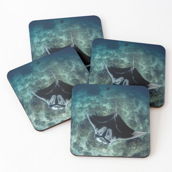 Item preview, Manta Ray swimming over the reef at Raja Ampat, Indonesia.  designed and sold by Jose Antonio  Castellano Garrido.