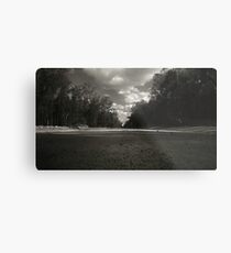 Lost Metal Print