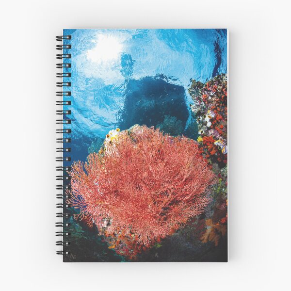 Item preview,  the contrast of these with the blue of the sea and the sky makes them stand out even more. This photo is taken in Raja Ampat designed and sold by Jose Antonio  Castellano Garrido.