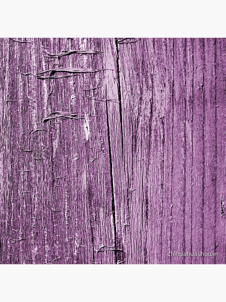 Rustic violet by chihuahuashower