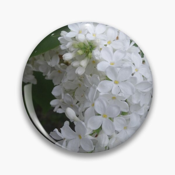 Item preview, White lilacs designed and sold by JessParkerPMP.