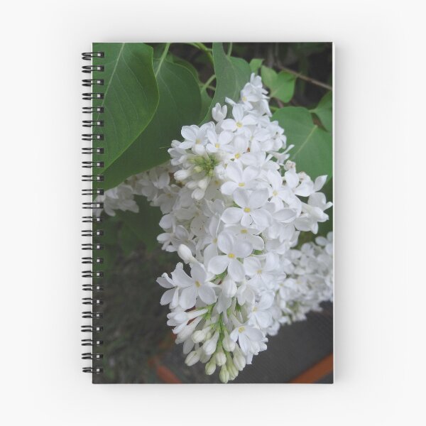 Item preview, White lilacs designed and sold by JessParkerPMP.