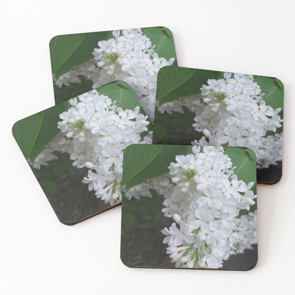 Item preview, White lilacs designed and sold by JessParkerPMP.