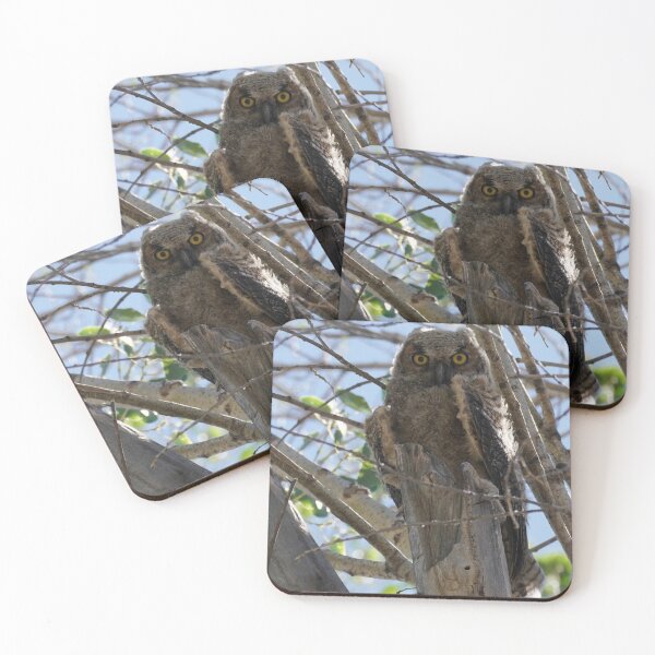 Item preview, Great Horned Owlet Sitting in a Tree designed and sold by MomentofPercep.