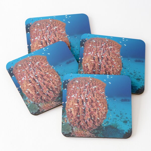 Item preview, Barrel sponge designed and sold by Jose Antonio  Castellano Garrido.