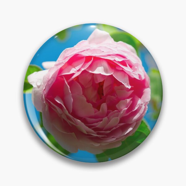 Item preview, rose designed and sold by AK1Shirts.
