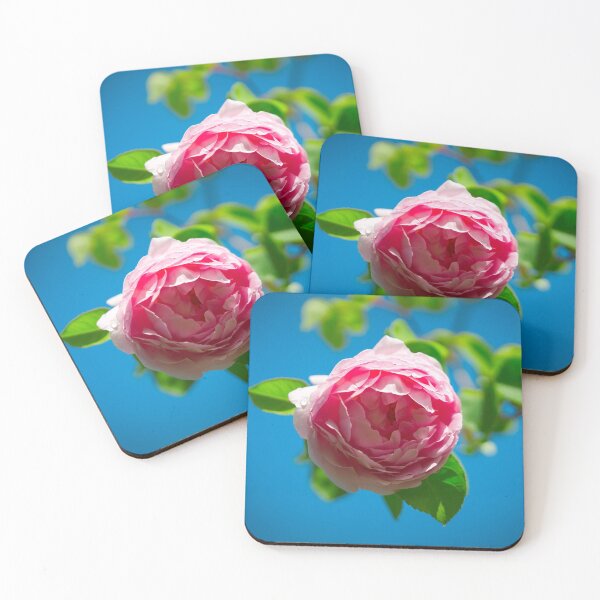 Item preview, rose designed and sold by AK1Shirts.