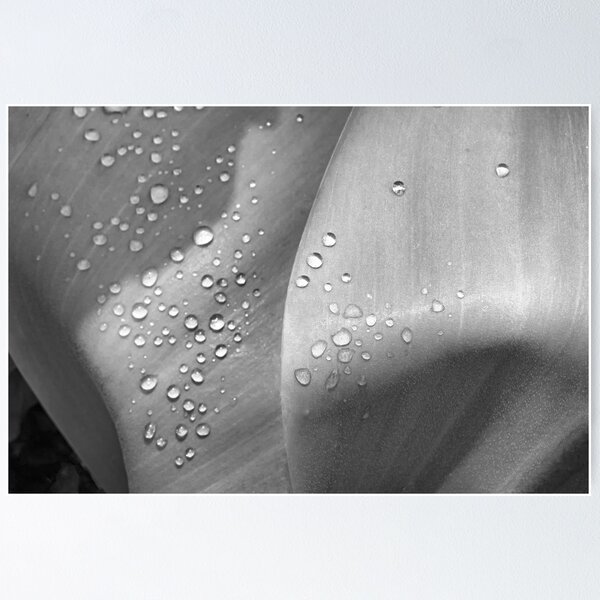 Item preview, Sparkling Droplets on leaves designed and sold by LisaCook1.
