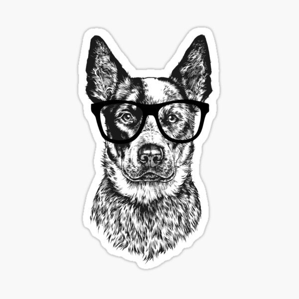 Dog Furacao Sticker by Tornado - Blue Heeler for iOS & Android