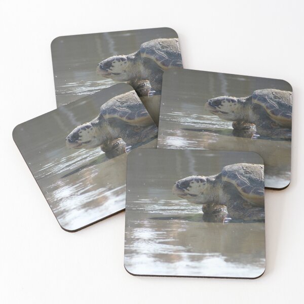 Item preview, Loggerhead turtle heading back to the ocean designed and sold by dreamweavergt.