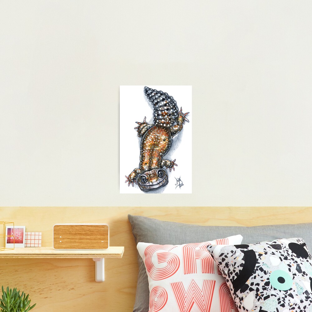 Gecko Friend Photographic Print