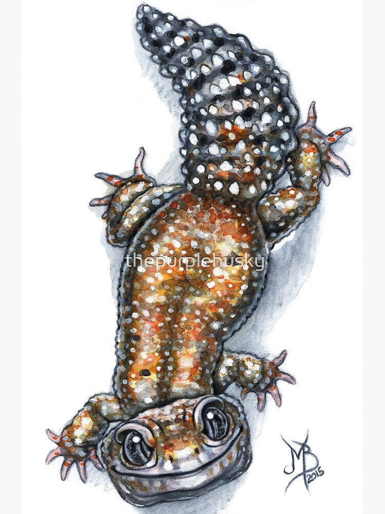 Gecko Friend by thepurplehusky