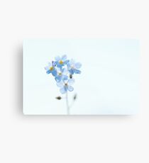 Forget-Me-Not Metal Print