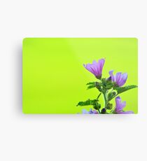 Summer Wallpaper Metal Print