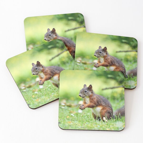 Item preview, Collecting food designed and sold by Aremanda KIRAN.