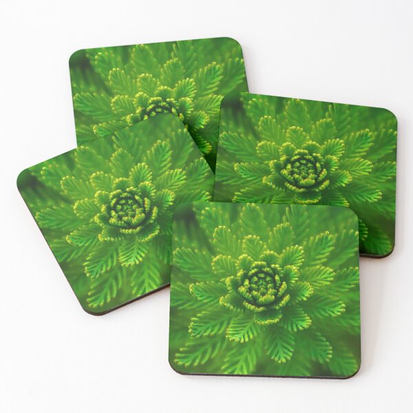 Item preview, Have you seen designed and sold by Aremanda KIRAN.