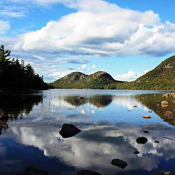 Artwork thumbnail, Reflections by Rebecca Wilcox