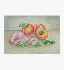 Beaches and blossom flowers Photographic Print