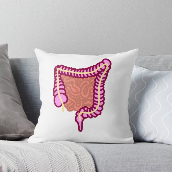 Item preview, Large and Small intestine (anatomy) designed and sold by jennashelley.
