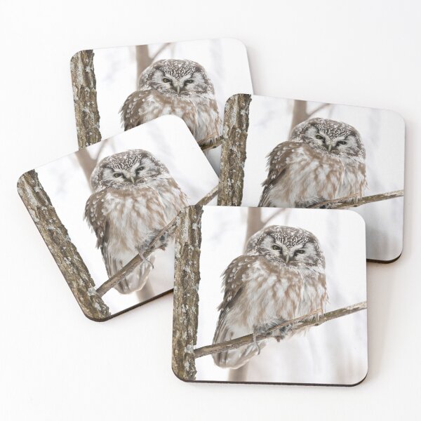 Item preview, Boreal owl with prey designed and sold by locustgirl.