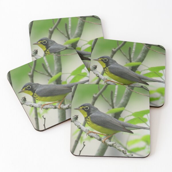 Item preview, Canada Warbler designed and sold by skwinnicki.