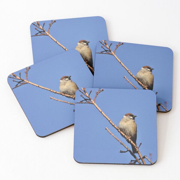 Item preview, Beautiful sparrow products 2 designed and sold by amr4874.