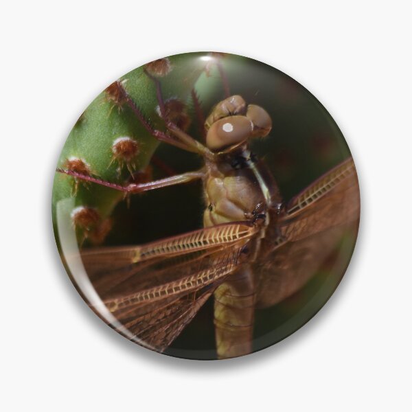 Item preview, Dragonfly Ouchie on Cactus  designed and sold by 1lookingglass.