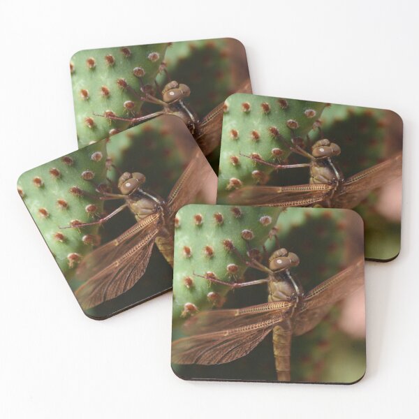 Item preview, Dragonfly Ouchie on Cactus  designed and sold by 1lookingglass.