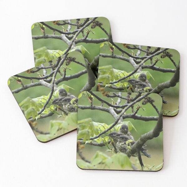 Item preview, Beautiful Baby Bluebirds! designed and sold by ALifeSavored.