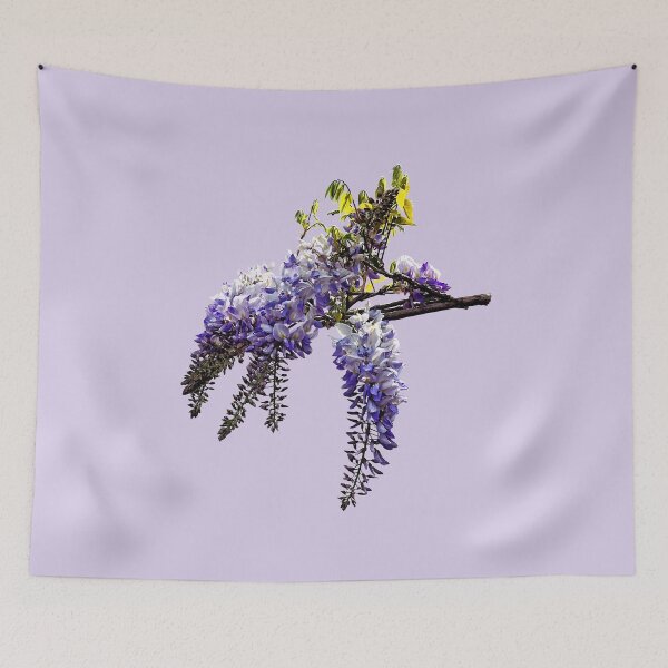 Item preview, Wisteris Starting to Open designed and sold by Susan Savad.