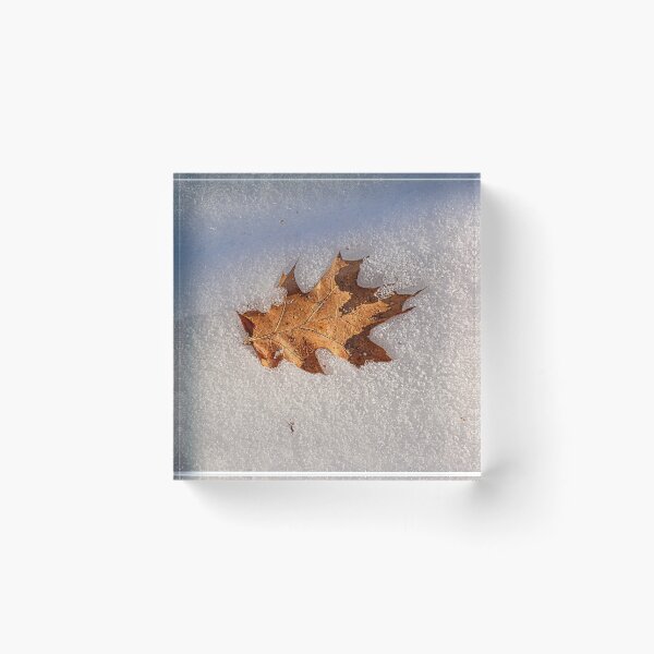 Item preview, Just another fallen leaf designed and sold by Richard W J Conyard.