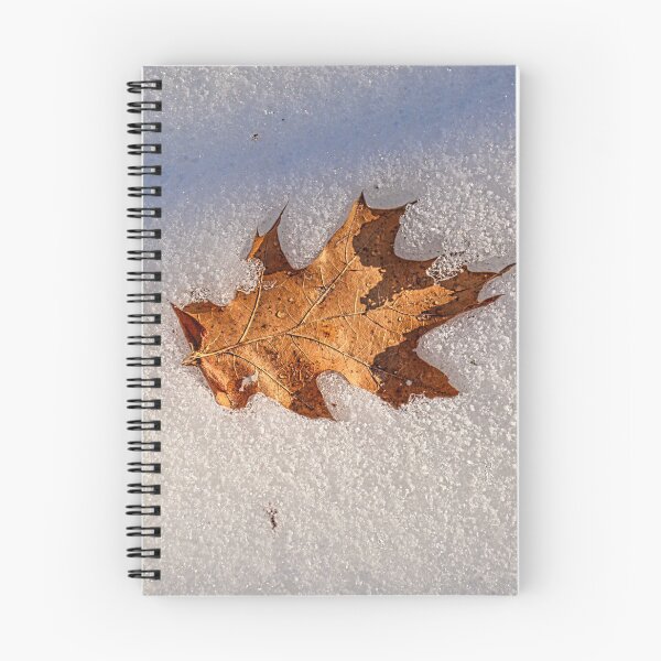 Item preview, Just another fallen leaf designed and sold by Richard W J Conyard.