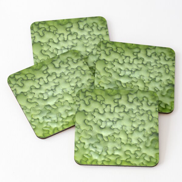 Coasters