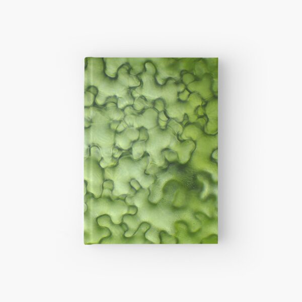 Hardcover Journal