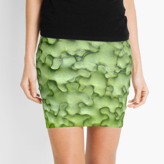 Mini Skirt