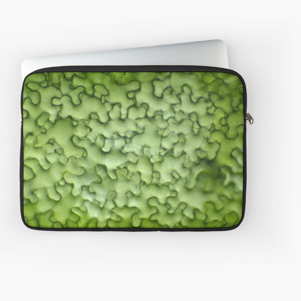 Laptop Sleeve