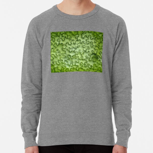 Lightweight Sweatshirt