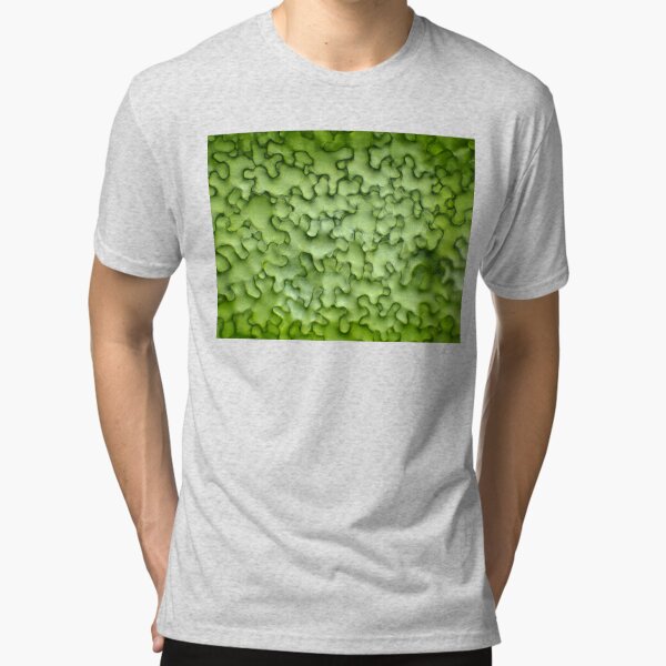 Tri-blend T-Shirt