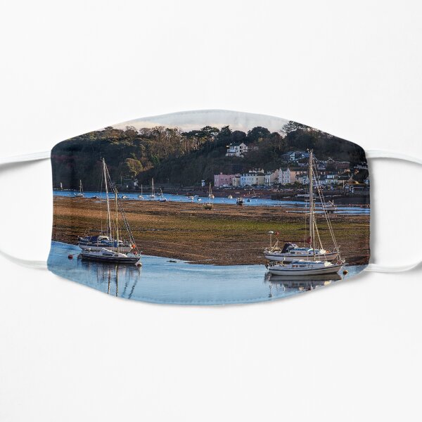 Shaldon at Low Tide Mask