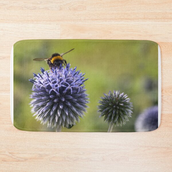 Item preview,  Echinops designed and sold by John Ray.