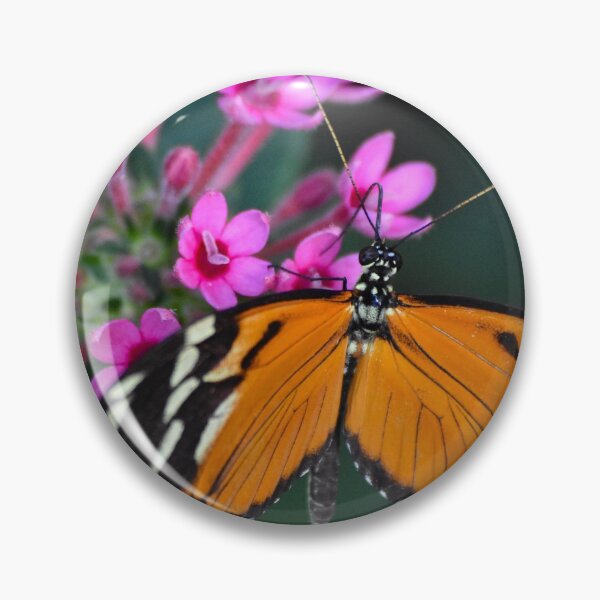 Item preview, Butterfly enjoying the nectar of life designed and sold by 1lookingglass.