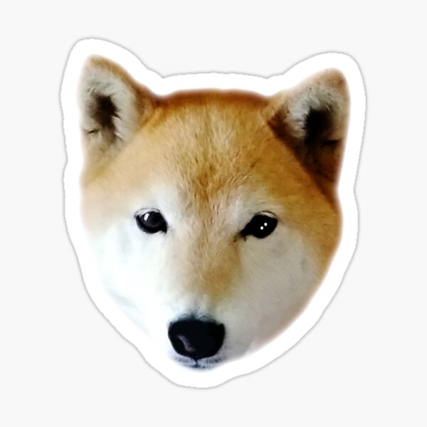 Cute Shiba Inu Puppy Sticker
