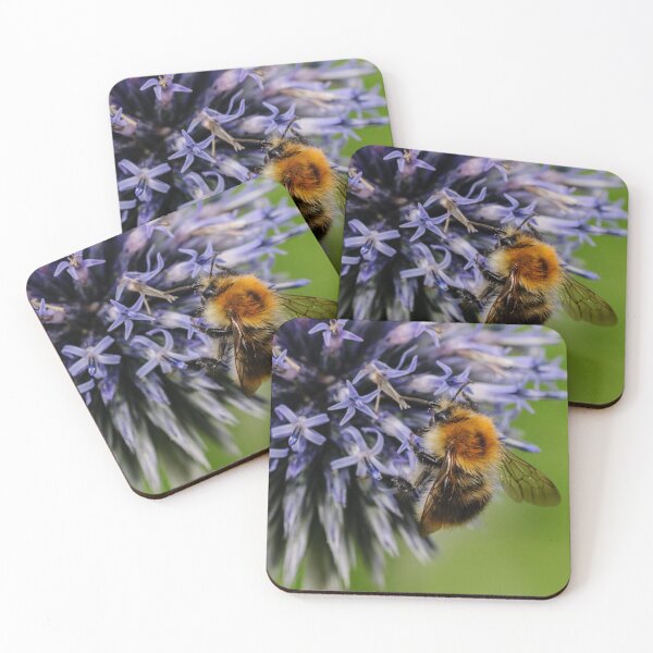 Item preview,  Globe Thistle designed and sold by John Ray.